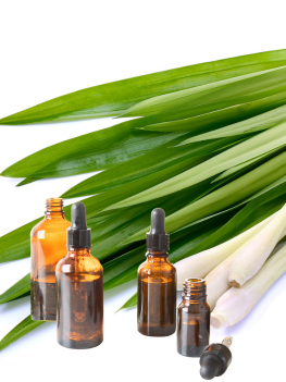 Lemongrass
