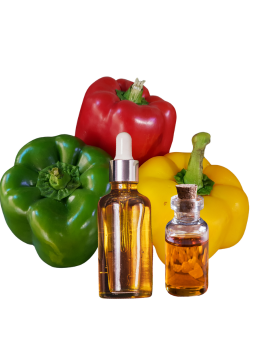 capsicum