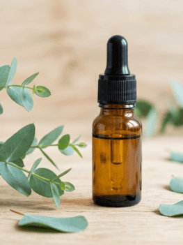 Genivo_Global_Eucalyptus_Essential_Oil_Exporter