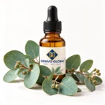 Eucalyptus Essential Oil